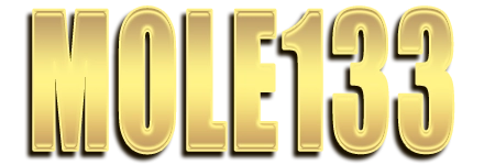 Logo MOLE133
